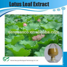 Natürliche Flavonoide Lotus Blatt Extrakt Pflanzenextrakt